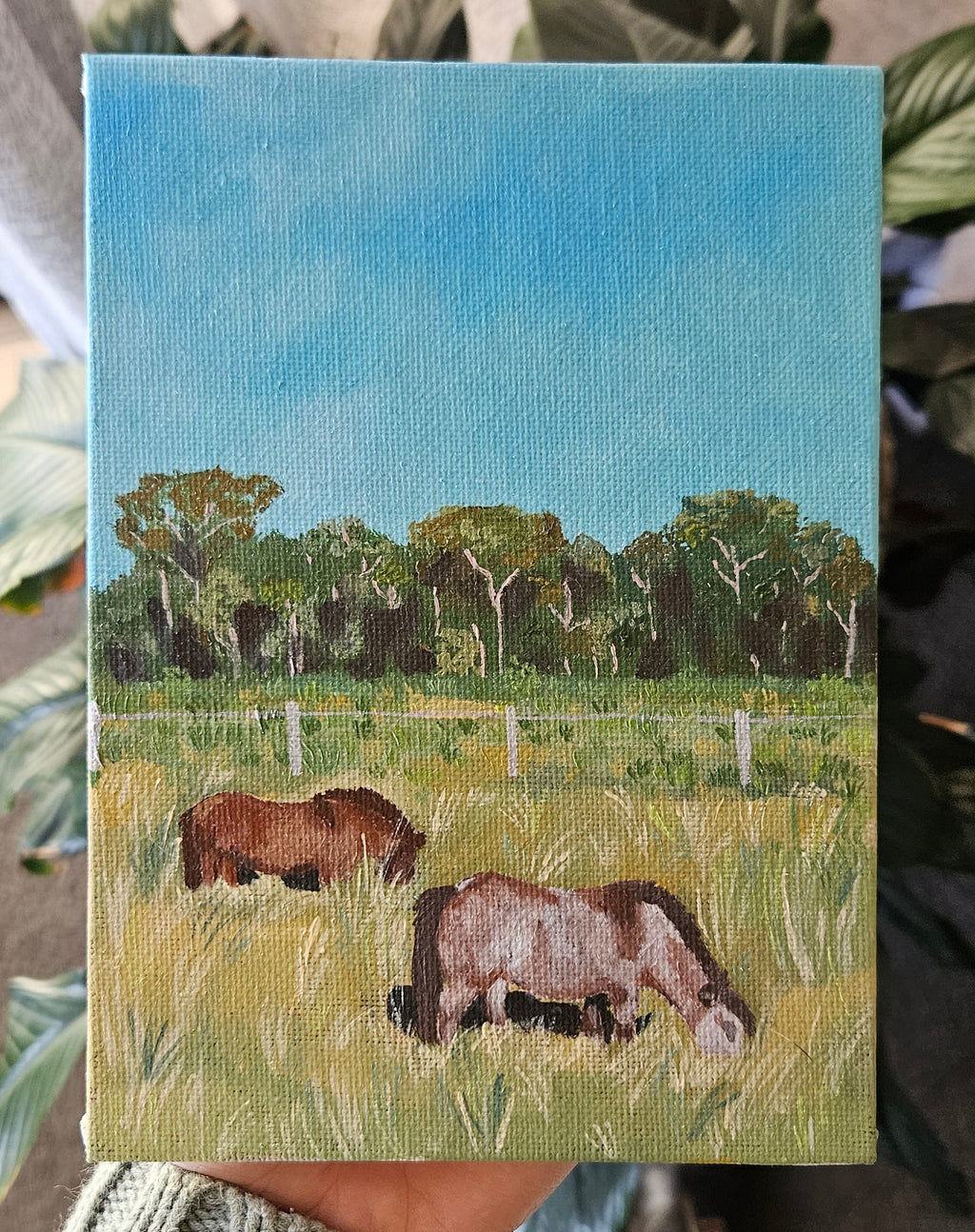 Horses of Splitters Farm