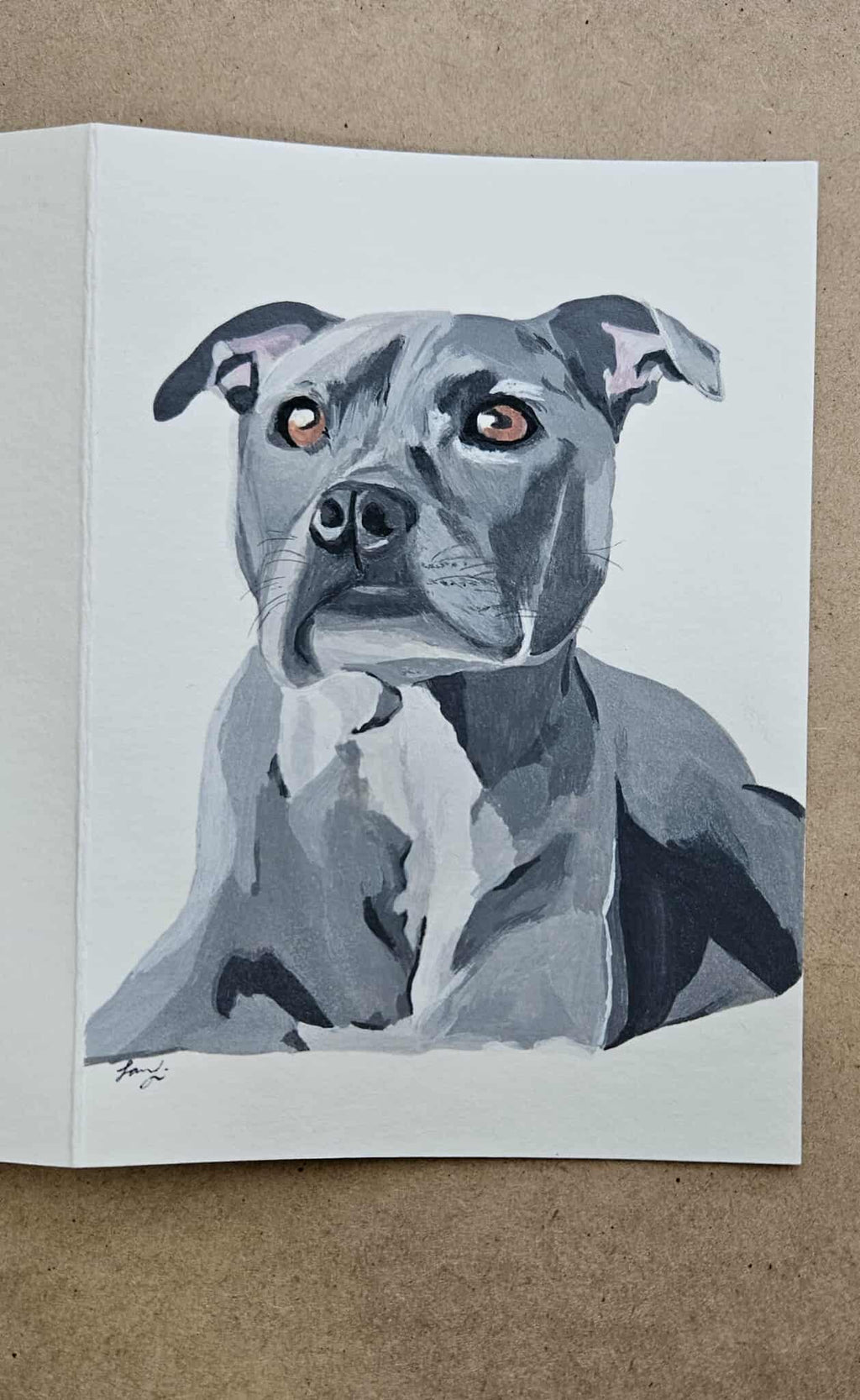 Pet Portraits
