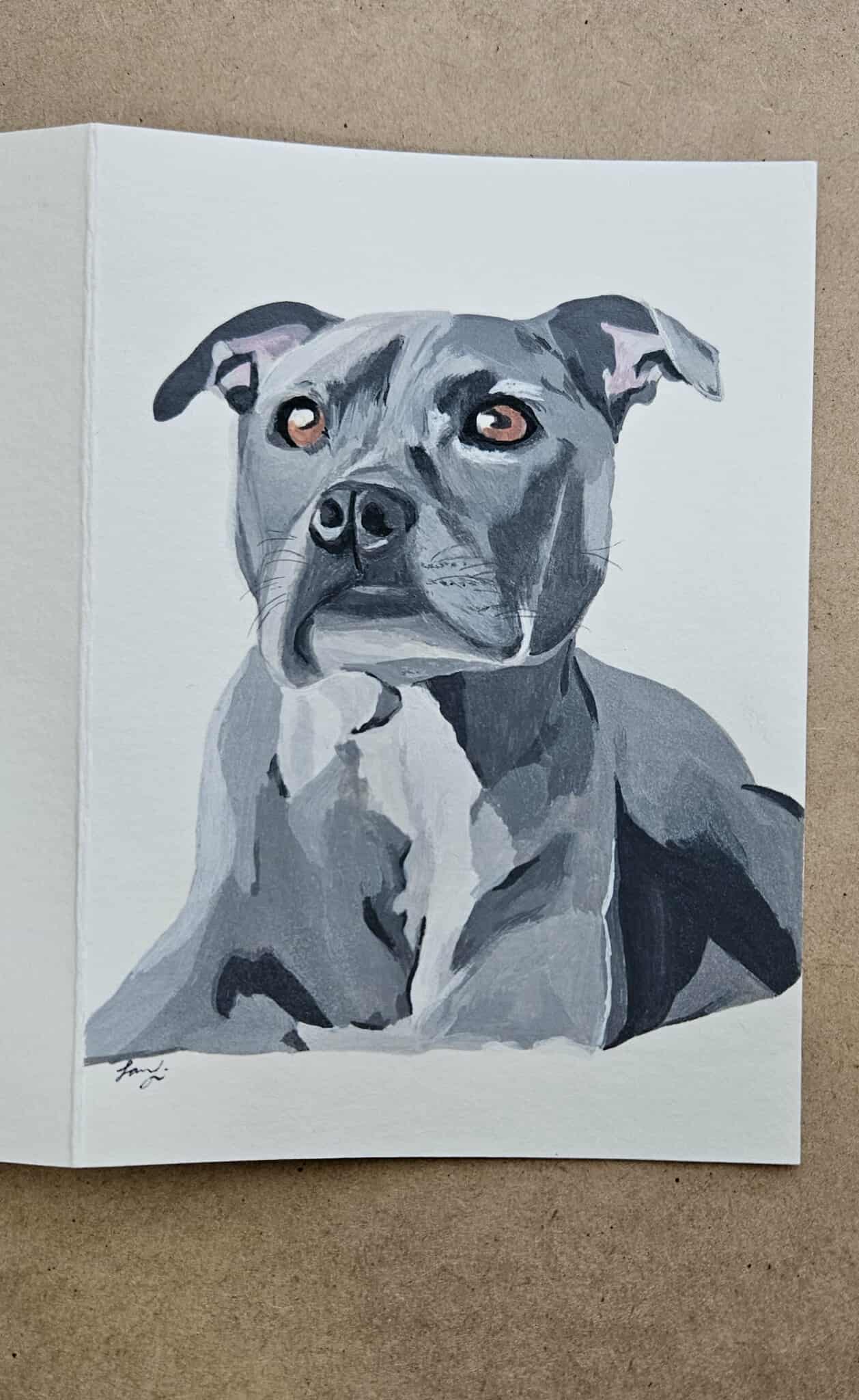 Pet Portraits